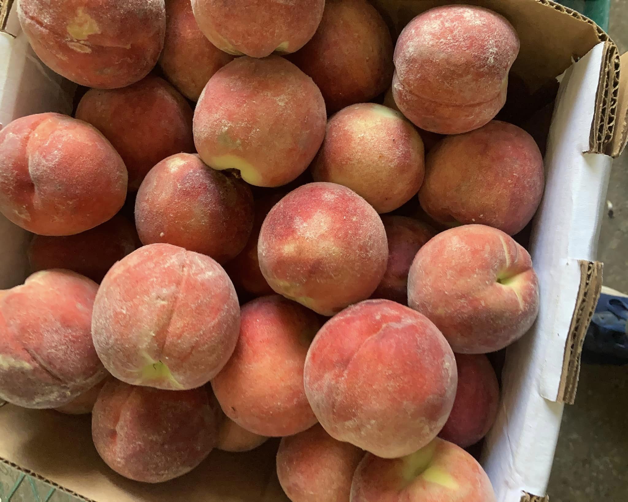 Peaches